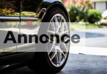 Helårsdæk vinder frem blandt danskerne car-tire-1031579_960_720