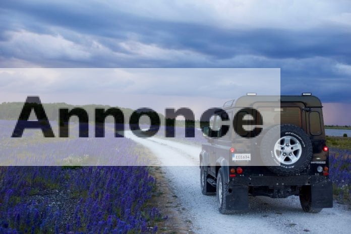 Jeep in field Jeep in field