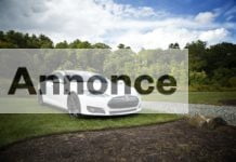 Guide: Fordele og ulemper ved at investere i en elbil