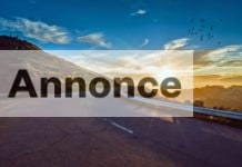 Bil, bus eller fly? Fordele og ulemper ved din transport