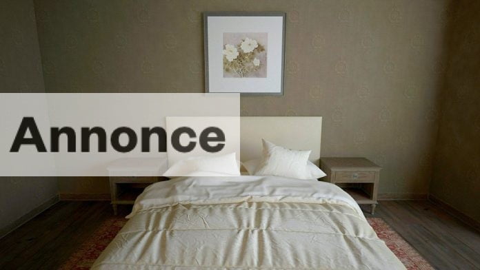 YM - Bilstriben.dk - 508 ord